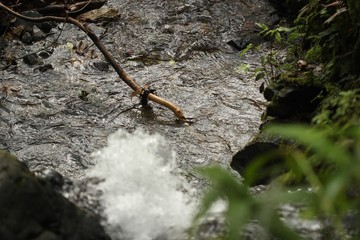 pequeña cascada