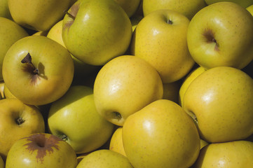 Yellow Apple for sale on market. Agriculture background. Close-up. Top view