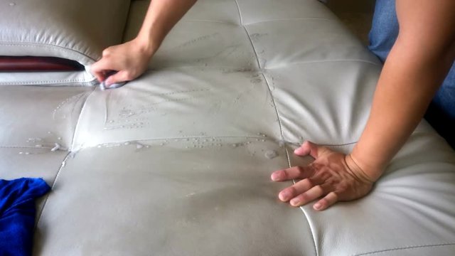 cleaning sofa with sponge and cloth