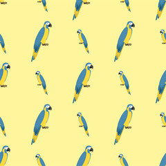 Cartoon tropical parrot wild animal bird seamless pattern vector illustration wildlife feather zoo color nature vivid.