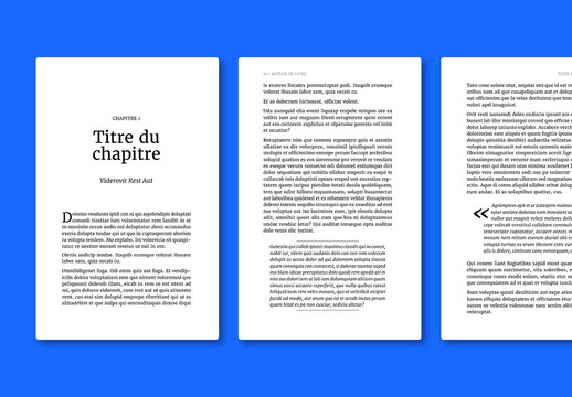 Mod&egrave;le de publication &eacute;lectronique&nbsp;- Livre classique