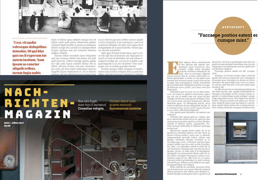 Nachrichtenzeitschriften-Layout