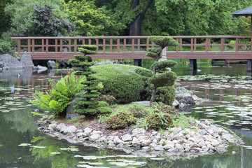 Fototapeta na wymiar Japanese Garden, exotic plants, Wroclaw, Poland