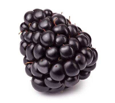 Ripe blackberry isolated on white background with clipping path