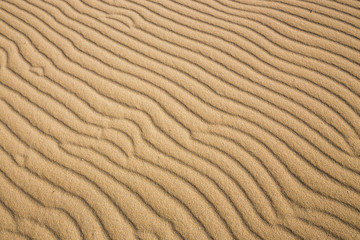 Lines in the sand of a beach, close up