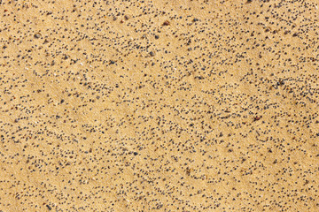 Lines in the sand of a beach, close up