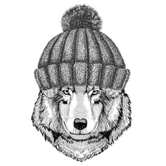 Wolf Dog wearing winter knitted hat