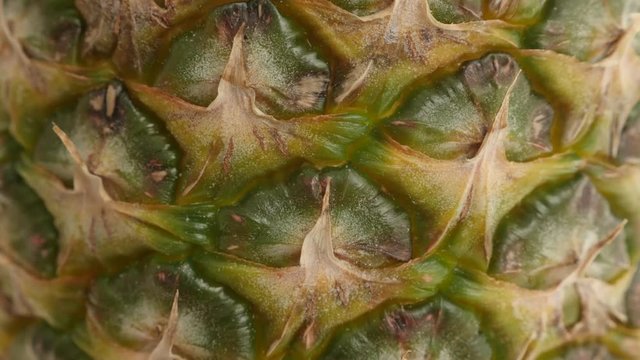 Close-up of tropical pineapple fruit texture 4K 2160p 30fps UltraHD tilting footage - Ananas comosus detailed structure slow tilt 4K 3840X2160 UHD video 
