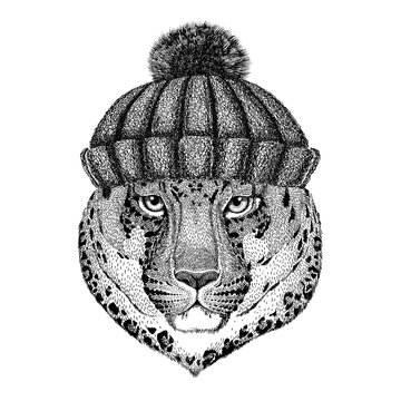 Wild cat Leopard Cat-o'-mountain Panther wearing winter knitted hat