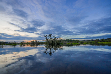 Sunset silhouetting a flooded jungle in Laguna Grande, in the Cuyabeno Wildlife Reserve, Amazon Basin, Ecuador