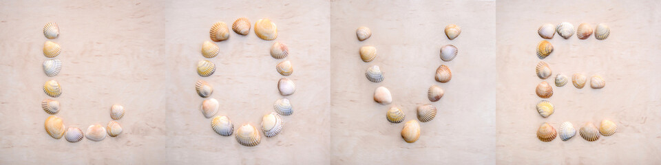 The word LOVE made of shells