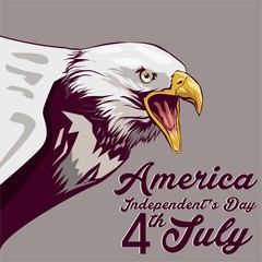 america independent's day