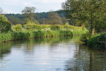 Caldon canal on a warm spring day, Staffordshire..