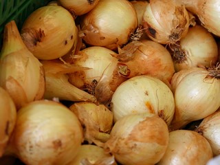 Big bulbs of white onions in a heap