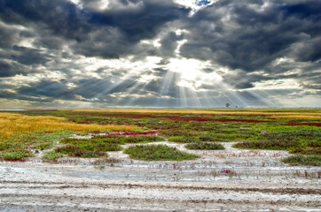 Wide prairies against the cloudy sky background