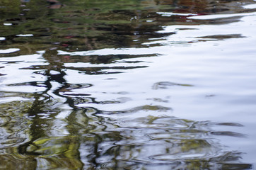 madrigal de la vera alardos