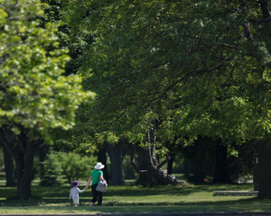 Fototapeta premium Child and Grandmother walking in the park