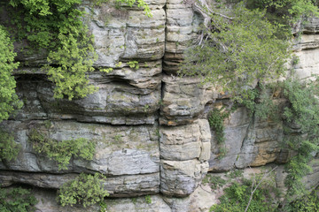 Cliff Face