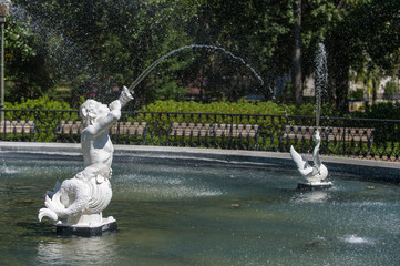 Savannah
