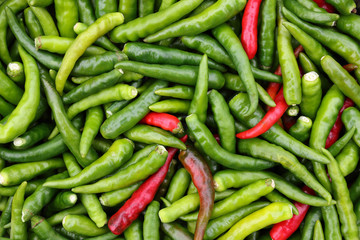 green and red chili for pattern and background