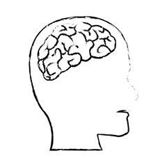 profile human head with brain anatomy vector illustration