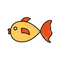 fish icon over white background colorful design vector illustration