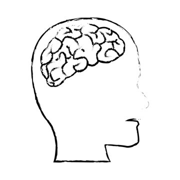profile human head with brain anatomy vector illustration