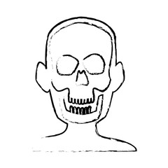 xray of head bone structure of human medical health vector illustration