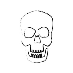 human skull male medical biology science vector illustration
