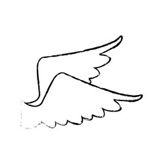 drawing wings feather bird angel icon vector illustration