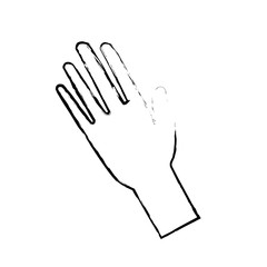 hand man human open showing five fingers vector illustration