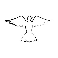 bird pigeon freedom peace wings open vector illustration