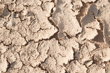 Dry cracked earth.