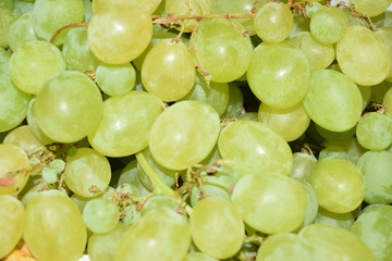 Close up of fresh and juicy grapes