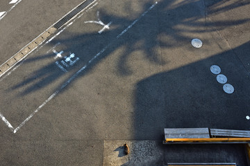 上から見た駐車場の猫(遠景)