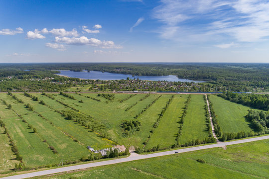 Green field aerial view