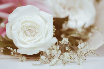 Closeup shot of fresh rose and processed in vintage style