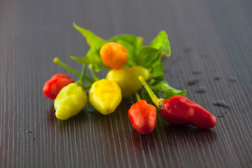 red hot chili pepper isolated on a white background
