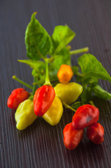 red hot chili pepper isolated on a white background