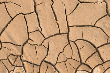 Dry cracked earth.