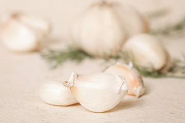 Garlic