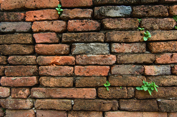 brick wall, background