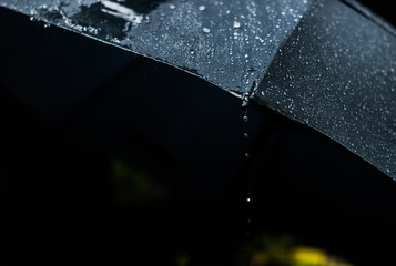 Raindrop