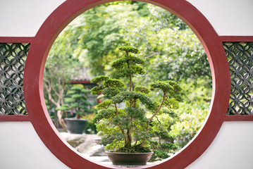 Bonsai tree on a traditional chinese red circular window in a pa