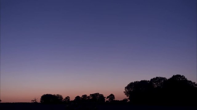 twilight with silhouette of Oak trees on horizon - Stafford, England: June 17th 2017