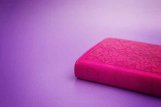 Closed Pink Bible on a Purple Background