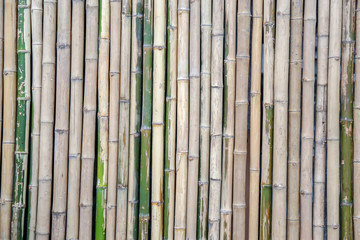 vertical of wooden bamboo fence or wall