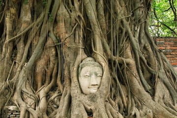 Ayutthaya Buddha Head in Tree Roots, Buddhist temple buddha statue Wat Mahathat
