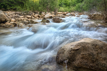 Fototapeta premium Forest creek with waterfalls. Water cascading over rocks.