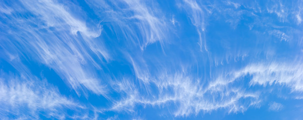Panorama of the sky with cirrus clouds